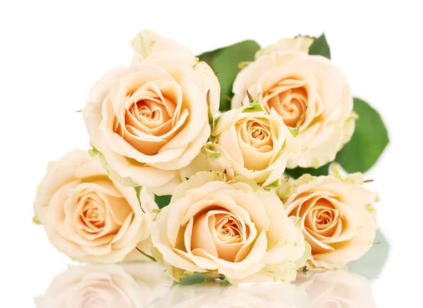 Красивые розы изолированы на белом — стоковое фото