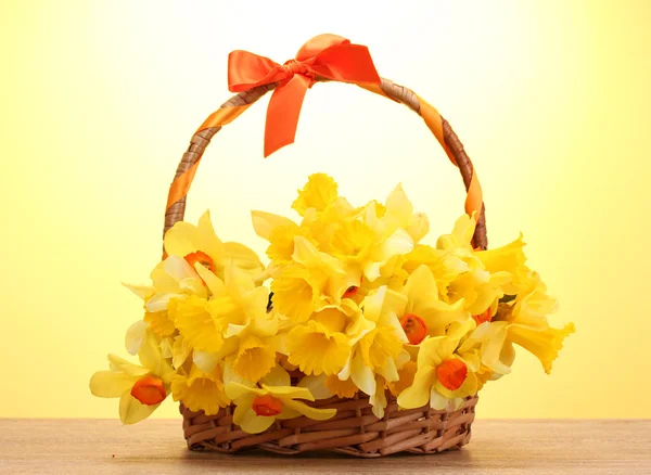 Beautiful yellow daffodils in basket with bow on wooden table on yellow background — Stock Photo, Image