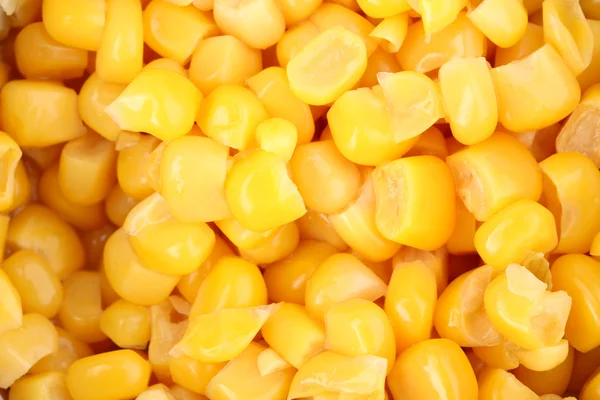 Smakelijke maïs close-up — Stockfoto