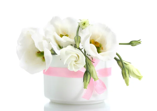 Prachtige Lentebloemen in vaas geïsoleerd op wit — Stockfoto
