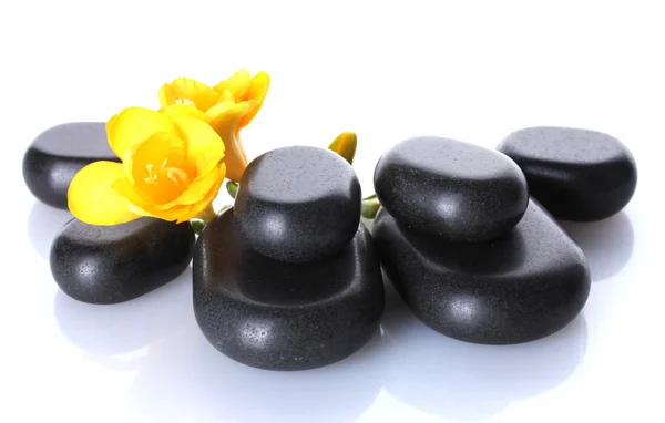 Spa stones and yellow flower isolated on white — Stock Photo, Image