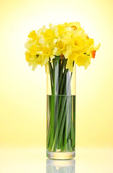 Beautiful yellow daffodils in transparent vase on yellow background — Stock Photo, Image