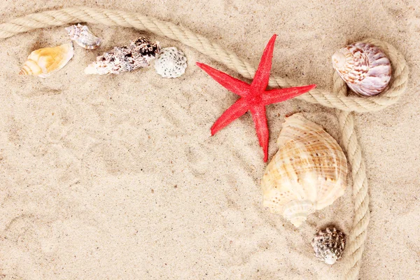 贝壳和海星用绳子在沙滩上 — 图库照片