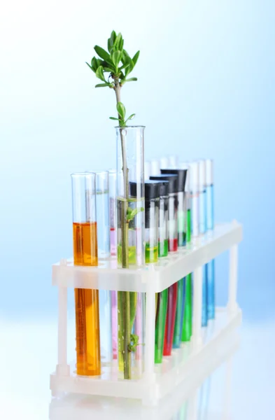Vidros de laboratório diferentes com líquido de cor no fundo azul — Fotografia de Stock