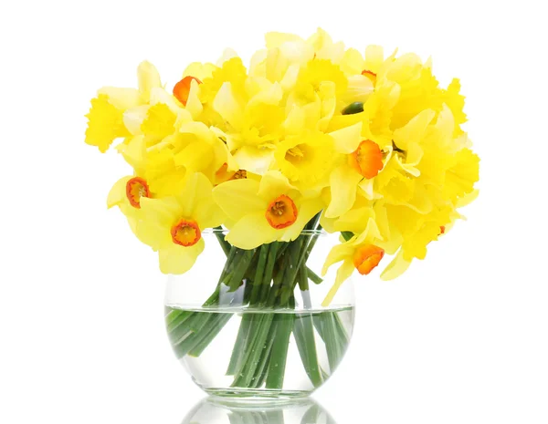 Bellissimi narcisi gialli in vaso trasparente isolato su bianco — Foto Stock