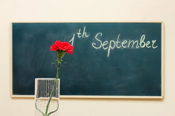 The date on the blackboard. First of September. A red carnation — Stock Photo, Image