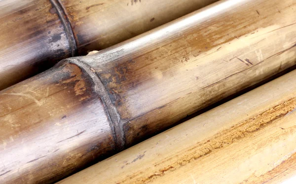 Fundo de bambu seco — Fotografia de Stock