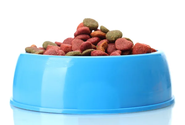 Trockenfutter für Hunde in blauer Schale isoliert auf weiß — Stockfoto