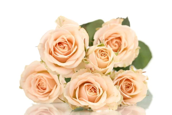 Vackra rosor isolerade på vitt — Stockfoto