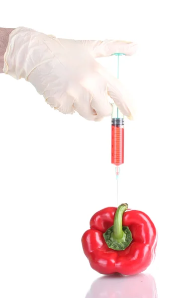 Генетически модифицированный овощ — стоковое фото