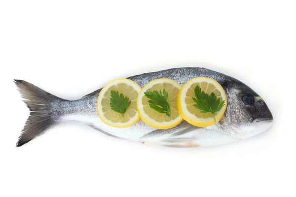新鲜鱼与柠檬和欧芹在白色隔离 — 图库照片