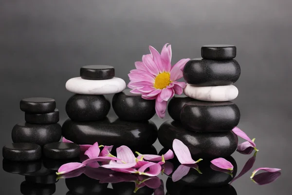 Wellness-Steine mit Blütenblättern und Blume auf grauem Hintergrund — Stockfoto