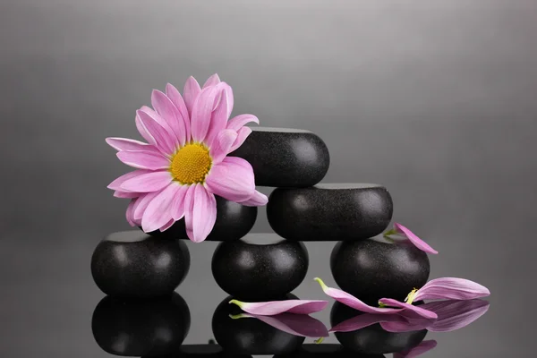 Piedras de spa y flor sobre fondo gris —  Fotos de Stock