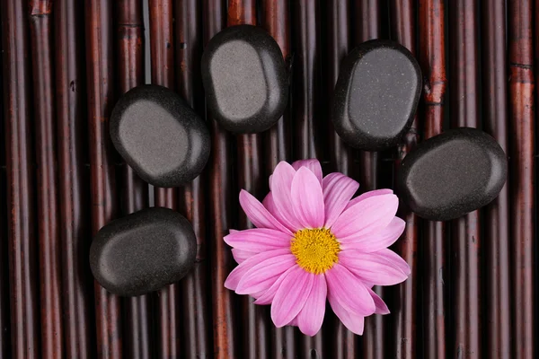 Wellness kameny a květiny na bambusové rohoži — Stock fotografie