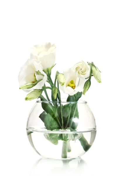 Cam aranjman beyaz izole güzel bahar çiçekleri — Stok fotoğraf