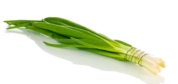 Taze yeşil soğan beyaz üzerinde izole — Stok fotoğraf