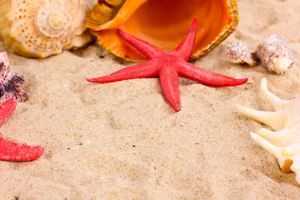 Deniz ve kum yakın çekim üzerinde deniz yıldızı — Stok fotoğraf