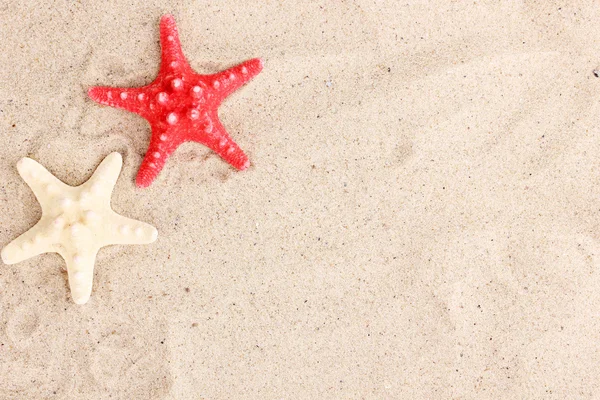 Peixes estrelados na areia — Fotografia de Stock