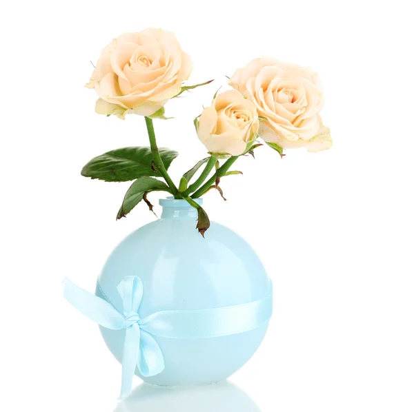 Belle rose in vaso isolate su bianco — Foto Stock