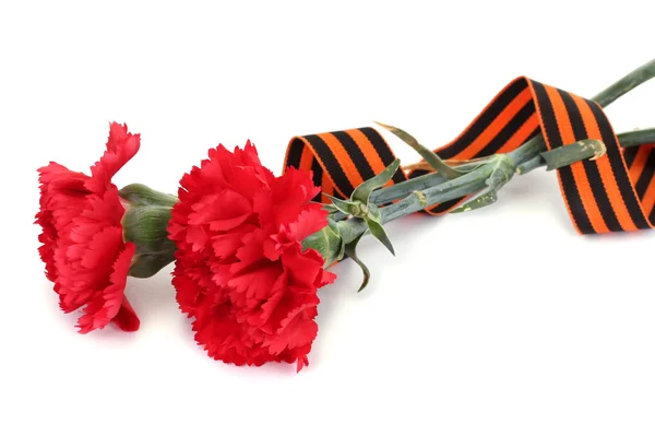 Carnations and St. George's ribbon isolated on white — Stock Photo, Image