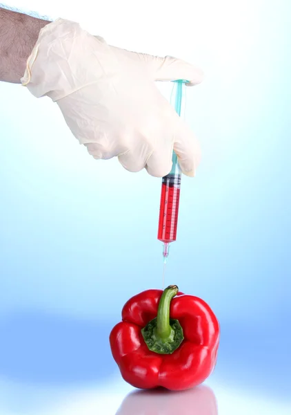 Генетически модифицированный овощ на синем фоне — стоковое фото