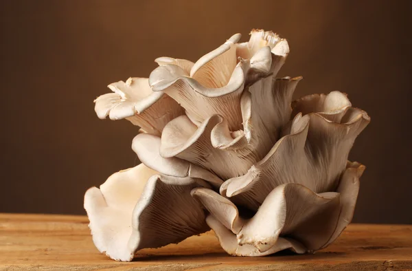 Устричные грибы деревянный стол на коричневом фоне — стоковое фото