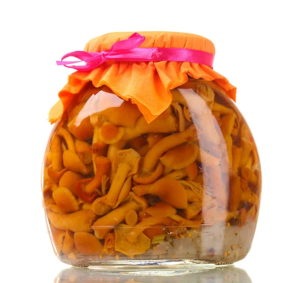 맛 있는 버섯 흰색 절연 유리 항아리에 절인 — 스톡 사진