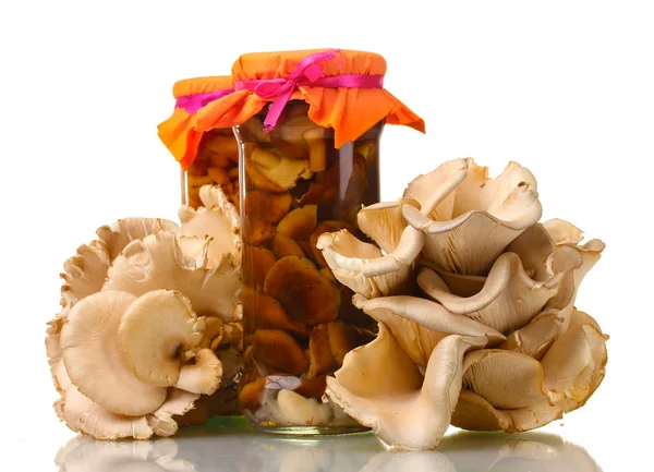 stock image Delicious marinated mushrooms in the glass jars, raw oyster mushrooms isolated on white