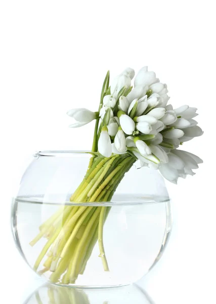 Красивый букет подснежников в прозрачной вазе изолированы на белом — стоковое фото