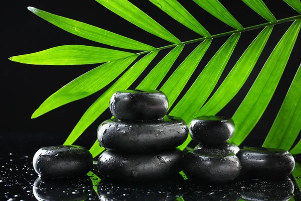 Spa stones with drops and green palm leaf on black background — Stock Photo, Image