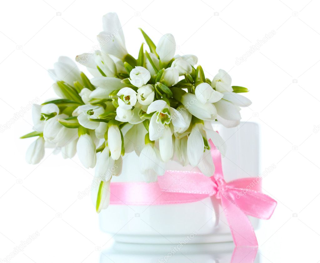 Beautiful bouquet of snowdrops in vase with bow isolated on white