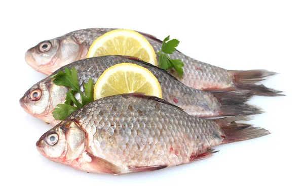 Peixes frescos com limão e salsa isolados em branco — Fotografia de Stock