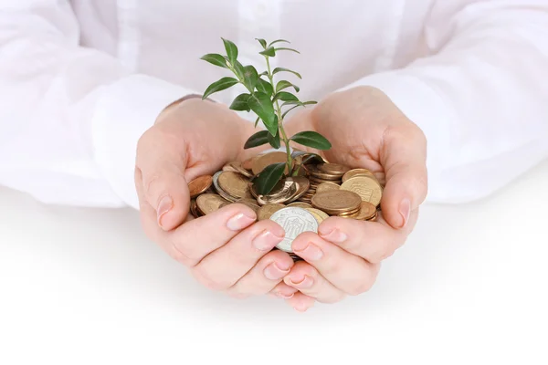 Woman hands with coins and plant — Stock Photo, Image