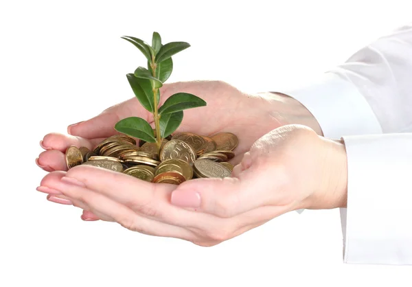 Woman hands with coins and plant isolated on white — Stock Photo, Image