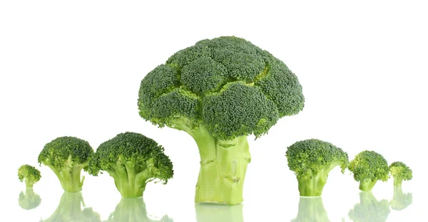 Brócoli fresco en línea aislado sobre blanco — Foto de Stock