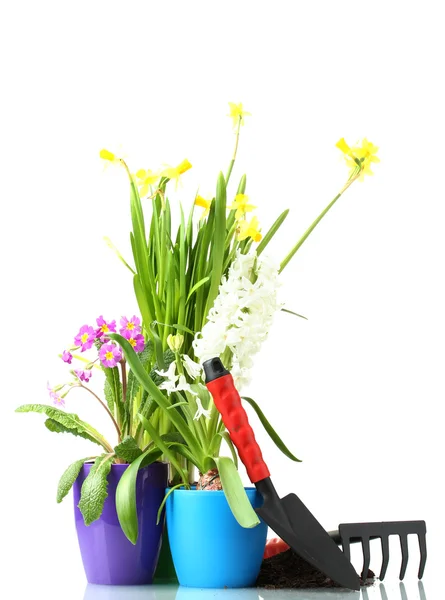 Hermosas flores de primavera, tierra y herramientas aisladas en blanco —  Fotos de Stock