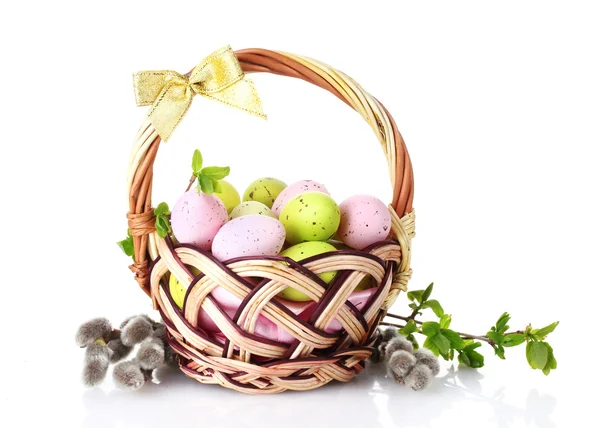 イースターの卵と白で隔離される猫-柳の枝のバスケット — ストック写真