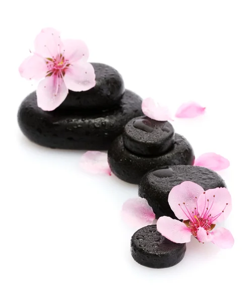 Wellness kameny s kapkami a květy růžové sakura izolované na bílém — Stock fotografie