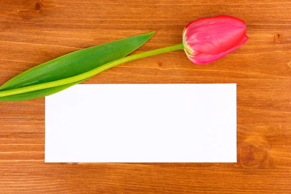 Mooie tulip en kaart op houten achtergrond — Stockfoto