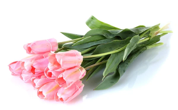 Красивые розовые тюльпаны изолированы на белом — стоковое фото