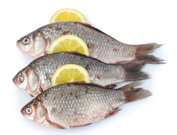 Peixes frescos com limão isolado em branco — Fotografia de Stock