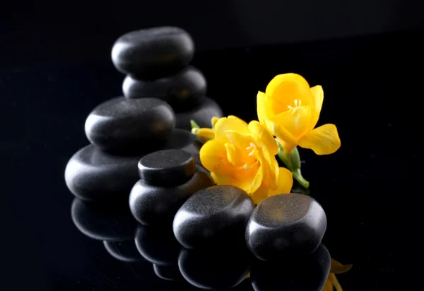 Piedras de spa y flor amarilla sobre fondo negro — Foto de Stock