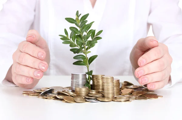 Woman hands with coins and plant — Stock Photo, Image