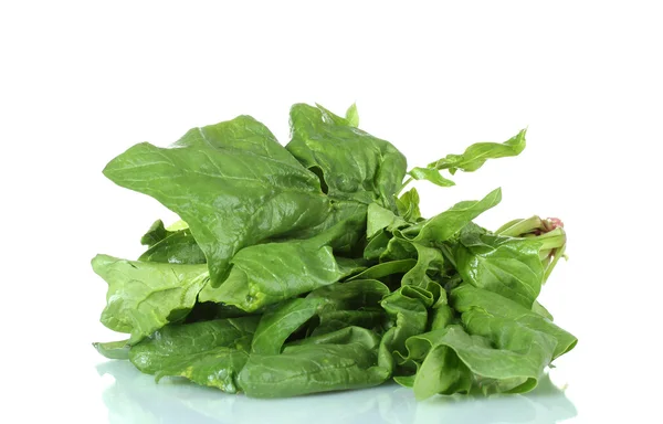 Spinach isolated on white — Stock Photo, Image