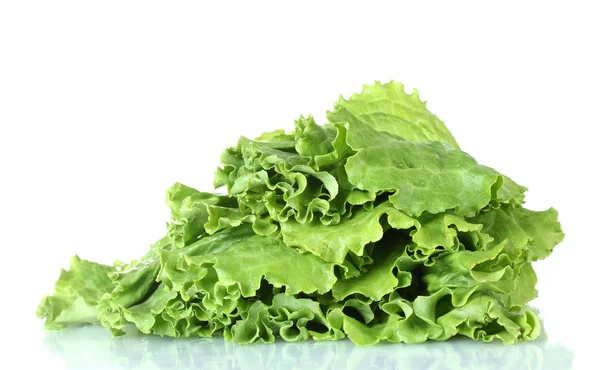 Salat isoliert auf weißer Nahaufnahme — Stockfoto