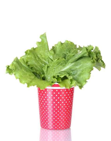 Salada em uma xícara vermelha com bolinhas brancas isoladas em branco — Fotografia de Stock