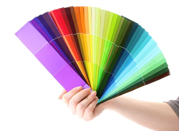 Hand holding bright palette of colors isolated on white — Stock Photo, Image