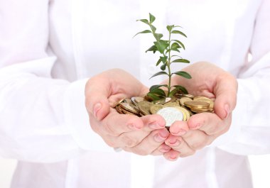 Woman hands with coins and plant clipart