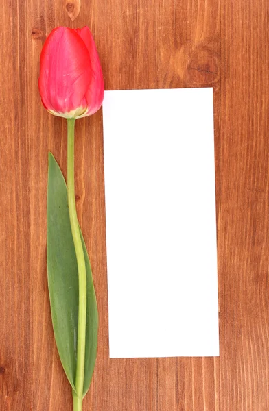 Schöne Tulpe und Karte auf Holzgrund — Stockfoto