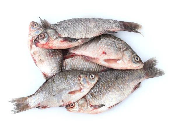 Świeże ryby na białym tle — Zdjęcie stockowe